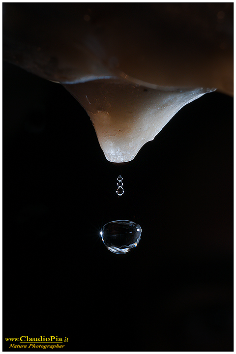 Val Graveglia, cave, mine, miniere, Nature photography, macrophotographt, drops, fotografia naturalistica, close-up, goccia, drop